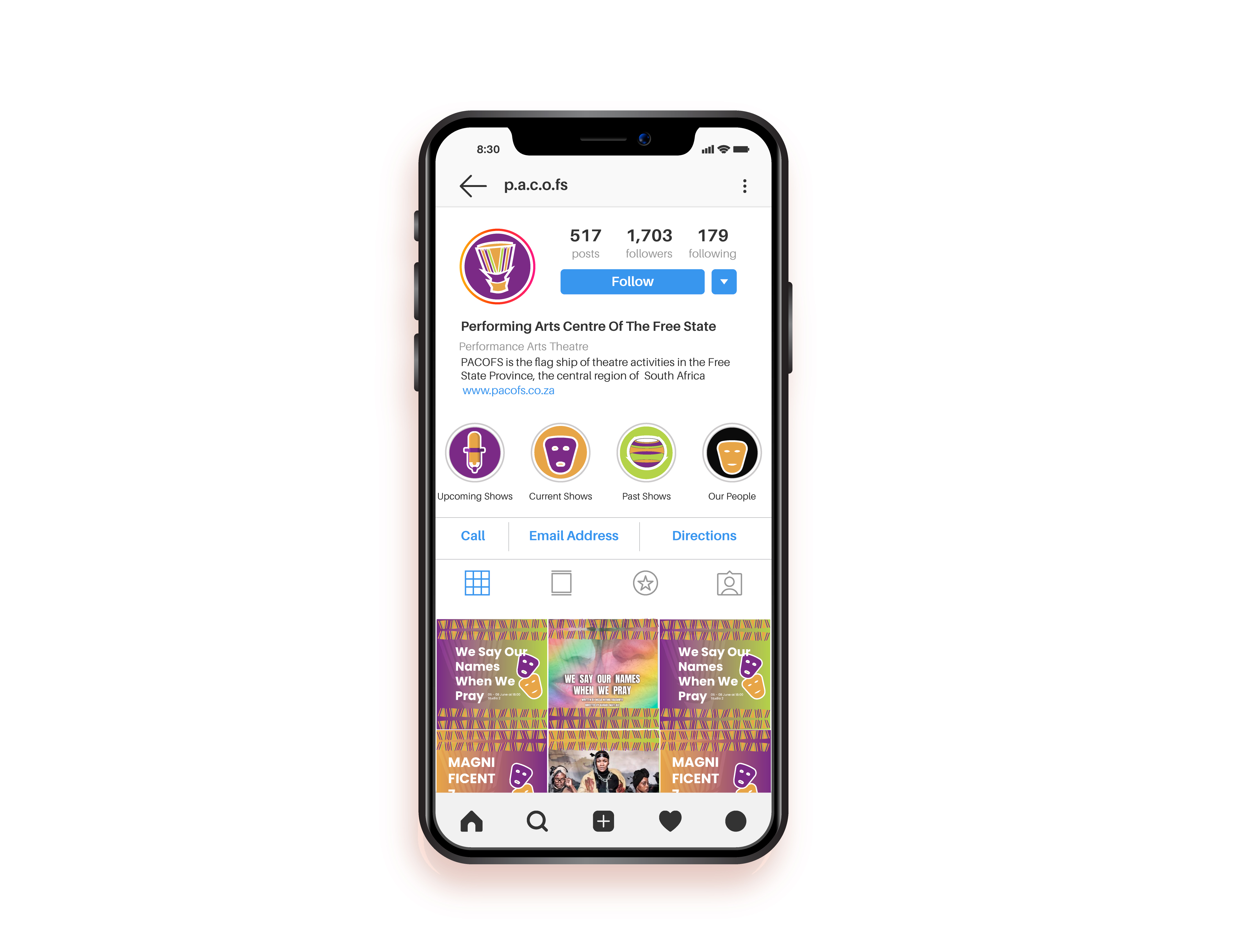 PACOFS Instagram grid layout — showing how the brand identity system looks as a cohesive feed of posts